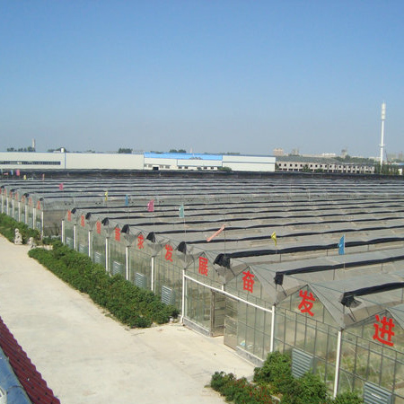 泰安井蓋廠(chǎng)家